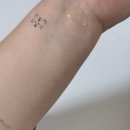 Y존케어 이너퍼퓸 밤쉘오일, 컴인사이드미 이너퍼퓸 밤쉘 후기