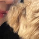 [대전 죽동 카페] 귀여운 보리의 유혹.. 오르페오 카페 후기🐶
