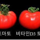 지플러스