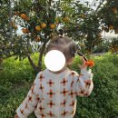 자두농원옆 | [포항/경주] 아이랑 체험활동 "꿈자람농원"