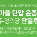 [3월 28일][녹색당 논평] 강정마을 탄압 윤종기가 더민주·정의당 단일후보 -이제 연합정치 새로 써야, 익산시장 재보선처럼 이미지