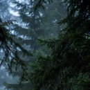 내리그집가자 이미지