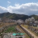 투썸플레이스 장유율하원메이저 이미지