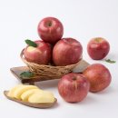 달콤한 사과이야기 이미지