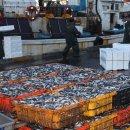 문탠로드 이미지