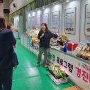대평면 누리봄이야기 ‘대상’· 명석면 숲속밀크앤치즈스쿨 ‘우수상’ - 진주시는 경상남도농업기술원...