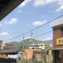 하띠농장 네이버블로그