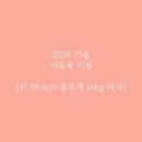 블랙빈(BLACKBEAN) | 유아동 남대문 2024 가을옷 쇼핑