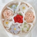 설향앙금