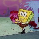 말랑말랑 코딩여행 | 2026년에 돌아보는 블로그 결산 (24~30살)