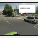 관청초 이미지