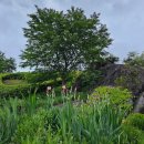 수관농장 이미지