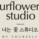 스튜디오105 이미지