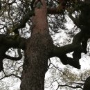 이야기속으로 이미지