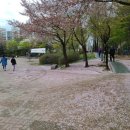 영등근린공원 이미지