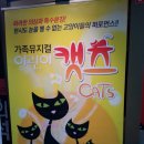 어린이 캣츠 | [가족,아동극] 친구와 가족의 소중함을 일깨워 주는 어린이캣츠 관람후기