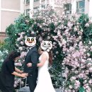 (20)드레스-브라이드영 헬퍼이모님.