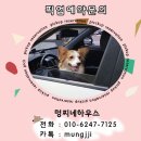 라이온호텔 이미지