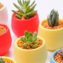 동산프라스틱 이미지