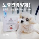 노령견영양제 고민된다면? 이프애니멀 반려동물영양제 솔직 후기!