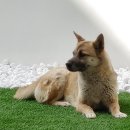 물소리길가 이미지