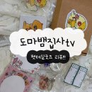 도마뱀집사TV