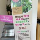 도화지 2 이미지