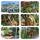 춘양면사무소 이미지