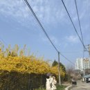 이재락자동차병원 이미지