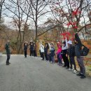 온라인마케팅연구원