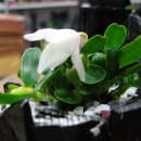 등대세탁 이미지