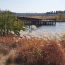 아라공원 이미지