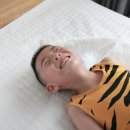 베이브리즈가족호텔 이미지