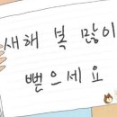 씨제이올리브영(주) 서대전네거리점 | 새해 복 많이 뻗으세요