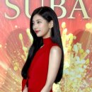 수지 - 보성군 | 수지