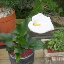 일영랜드 이미지