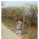 개나리목장 이미지