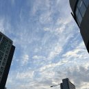 동해시-26 | 동해일기 4(26. 4. 30.~26. 5. 5.)
