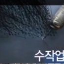 플러스모발