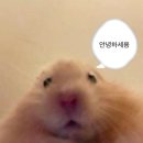 안녕! 2024.10 슨 첫 블로그일기 ᐡ⸝ɞ̴̶̷ ·̮ ɞ̴̶̷⸝ᐡ