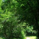 덕산자동차 이미지