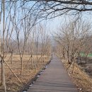 연천재인폭포 | 연천 재인폭포 당일치기 여행 후기 산책하기 좋은 한탄강 절경 코스