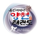 용인대 석사 양현 태권도 이미지