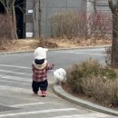 인간은 비정상을 정상처럼 받아들이는 데에 놀라운 재능이 있다