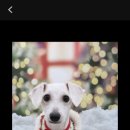 팔레트멍 이미지