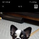 해루다루 Daum카페