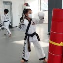 KM GYM 합기도 킥복싱 이미지