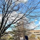 진리관 화장실 이미지