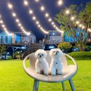 펫트리멍 | 애견동반 글램핑 충주 펫트리파크 로뽀네 캠핑 후기~!