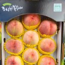 도향축산 Daum카페